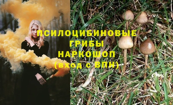 spice Лагань