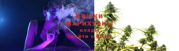 spice Лагань
